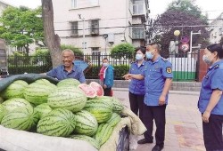 甘肃回民网红吃瓜,揭秘当地特色美食背后的故事