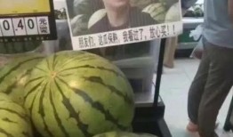 杭州网红事件吃瓜,揭秘网络狂欢背后的真相与反思
