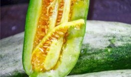 可以吃网红瓜的连接,跟随链接探寻网络热点背后的故事