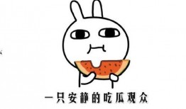 在线吃瓜抖音网红,带你领略网络世界的“瓜田”盛景