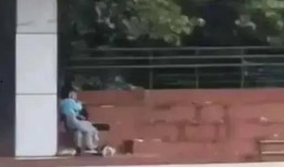 电梯视频网红吃瓜,揭秘娱乐圈幕后真相