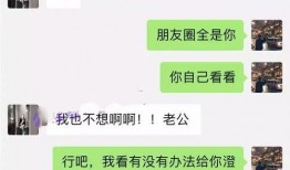 魏县网红吃瓜事件视频,一场网络狂欢背后的真相揭秘