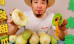网红炸裂吃瓜,揭秘娱乐圈幕后风云