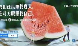 网红吃瓜视频文案大全,揭秘娱乐圈幕后故事