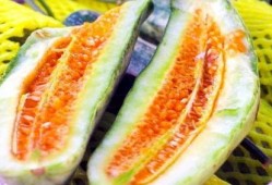 今日热门吃瓜网,揭秘娱乐圈最新热点事件