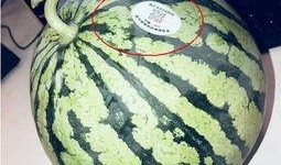 网红吃瓜链接,带你领略娱乐圈幕后风云