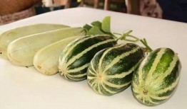 各类网红爆料吃瓜,娱乐圈吃瓜大揭秘，明星幕后故事全曝光！